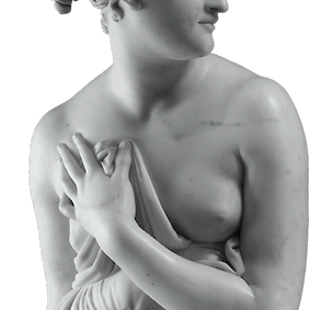 CHIRURGIA PER IL VISO