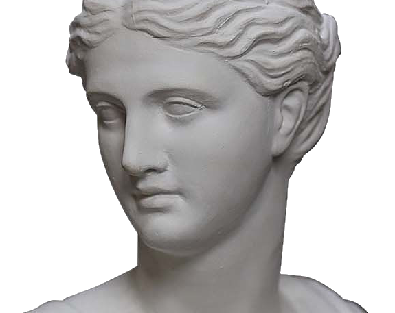 CHIRURGIA PER IL VISO